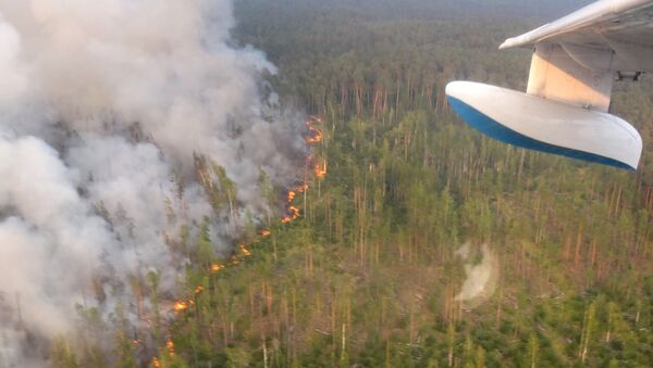 انتشار حرائق الغابات في حي بوغوتشانسك، منطقة كراسنويارسكي كراي، حرائق غابات - سبوتنيك عربي
