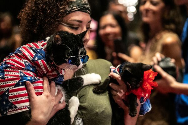 عرض الأزياء للقطط Annual Cat Fashion Show في نيويورك، 1 أغسطس/ آب 2019 - سبوتنيك عربي