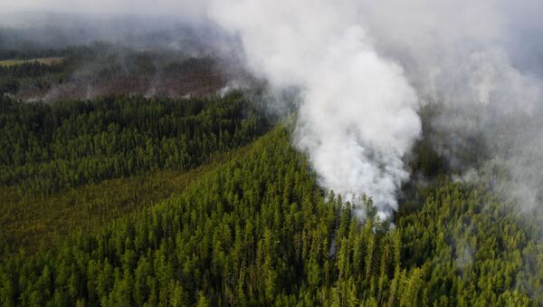 حرائق غابات سيبيريا في روسيا - سبوتنيك عربي