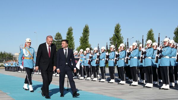 الرئيس الأوكراني فلاديمير زيلينسكي  - سبوتنيك عربي