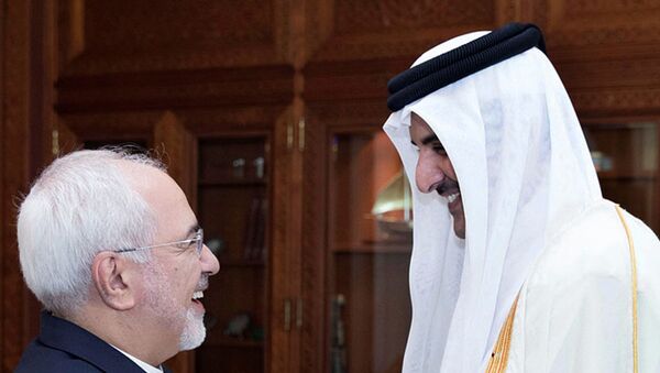أمير قطر الشيخ تميم بن حمد آل الثاني يلتقي محمد جواد ظريف وزير الخارجية الإيراني - سبوتنيك عربي
