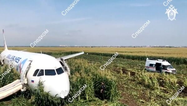 طائرة إيرباص A321 بعد اصطدام محركاتها بسرب طيور - سبوتنيك عربي