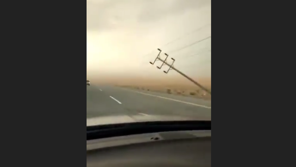 عاصفة مطرية تدمر أعمدة الكهرباء في السعودية - سبوتنيك عربي