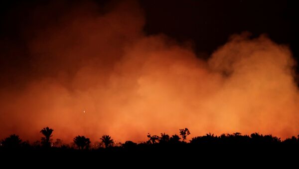 غابات الأمازون تحترق - سبوتنيك عربي