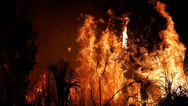 حرائق غابات الأمازون، البرازيل أغسطس/ آب 2019 - سبوتنيك عربي