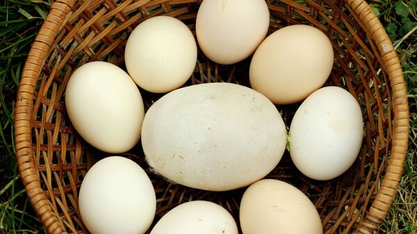 بيضة دجاج عملاقة تزن 170 جرامًا من جورجيا ،دخلت موسوعة غينيس للأرقام القياسية، عام 2010 - سبوتنيك عربي