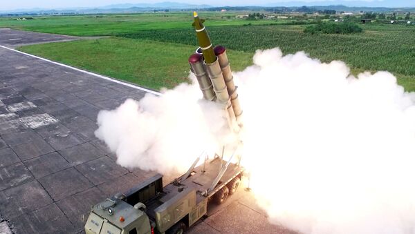 إطلاق الصواريخ أثناء اختبار قاذفة الصواريخ، كوريا الشمالية 25 أغسطس/ آب 2019 - سبوتنيك عربي