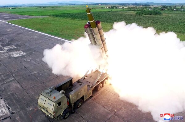 إطلاق الصواريخ أثناء اختبار قاذفة الصواريخ، كوريا الشمالية 25 أغسطس/ آب 2019 - سبوتنيك عربي