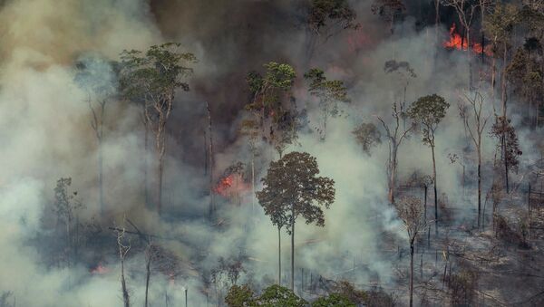حرائق غابات الأمازون، البرازيل أغسطس/ آب 2019 - سبوتنيك عربي