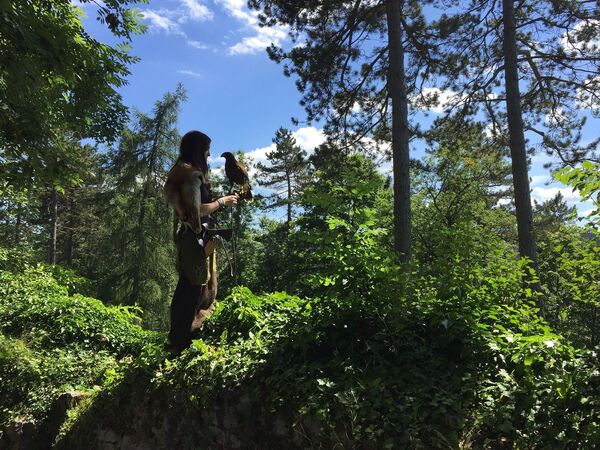 فتاة مع صقر في غابة توتلينغن في ألمانيا - سبوتنيك عربي