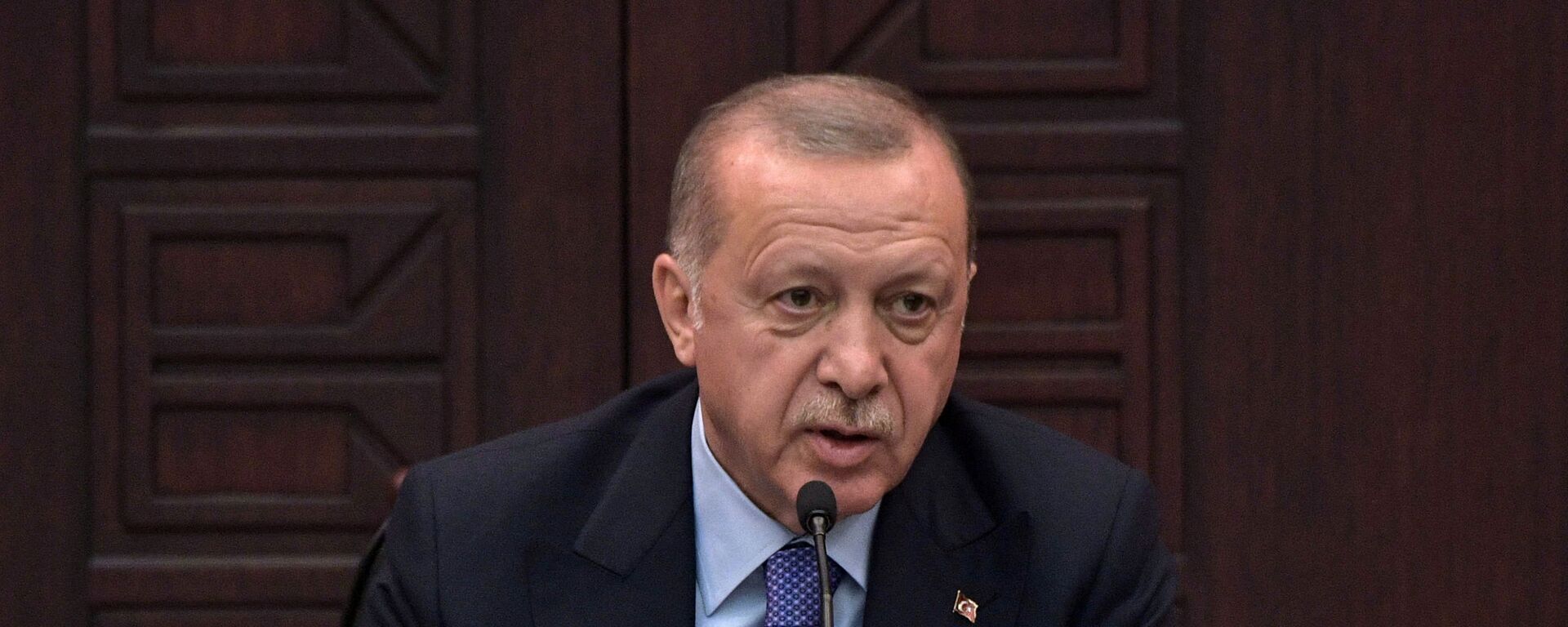 الرئيس التركي رجب طيب أردوغان - سبوتنيك عربي, 1920, 27.11.2022