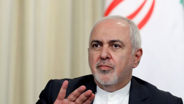 وزير الخارجية الإيراني محمد جواد ظريف - سبوتنيك عربي