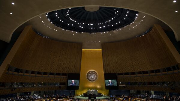الجمعية العامة للأمم المتحدة - سبوتنيك عربي