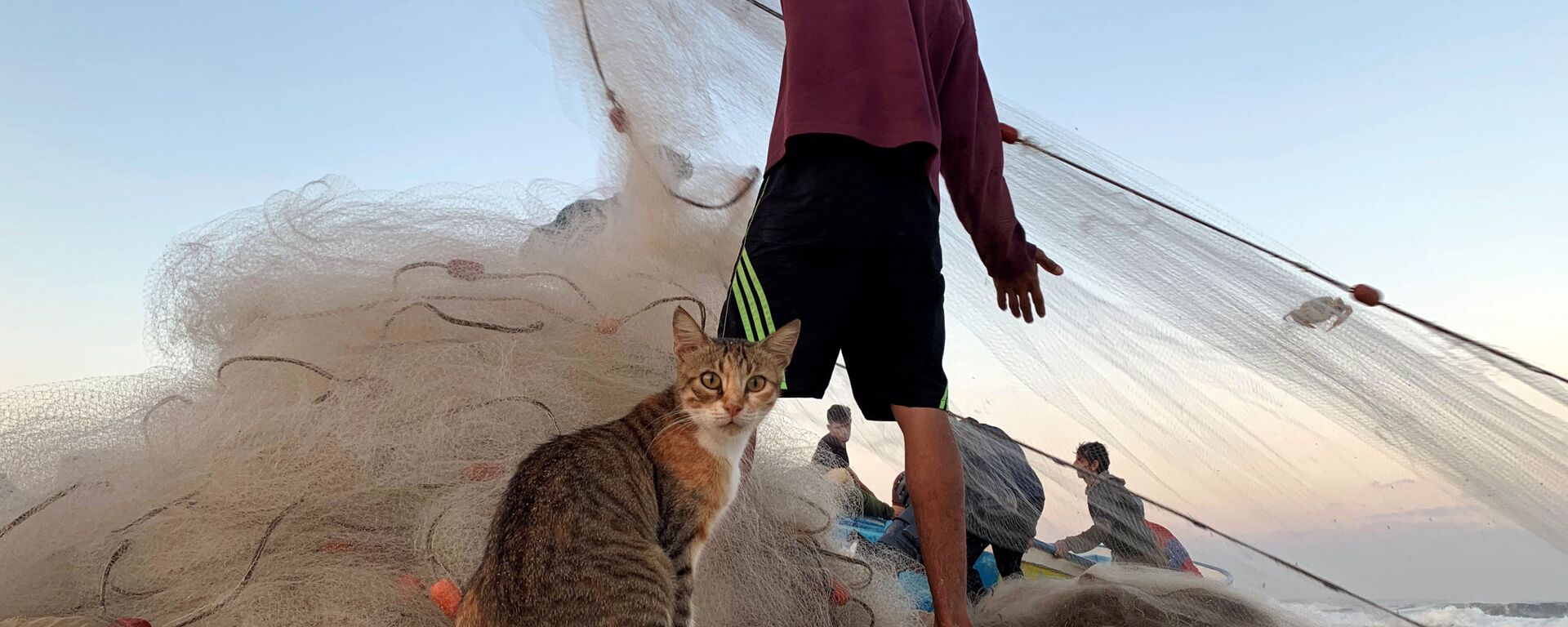 قط على خلفية صياد فلسطيني يجر شبكة الصيد على شاطئ بحر غزة، شمال طاع غزة 23 سبتمبر 2019  - سبوتنيك عربي, 1920, 09.04.2022