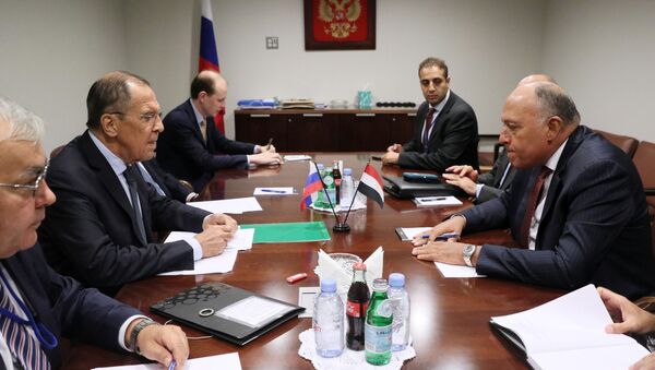 وزير الخارجية الروسي  سيرغي لافروف ، مع نظيره المصري سامح شكري - سبوتنيك عربي