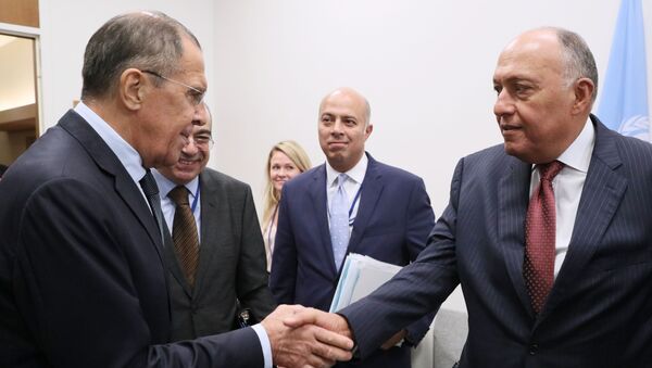 وزير الخارجية الروسي  سيرغي لافروف، مع نظيره المصري، سامح شكري - سبوتنيك عربي