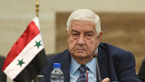 وزير الخارجية السوري وليد المعلم - سبوتنيك عربي