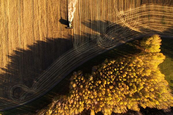 حصاد القمح في حقول مزرعة بوسيفنينسكايا في منطقة نوفوسيبيرسك الروسية - سبوتنيك عربي