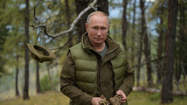 الرئيس الروسي فلاديمير بوتين يتنزه بصحبة وزير الدفاع سيرغي شويغو في سيبيريا، 7 أكتوبر 2019 - سبوتنيك عربي