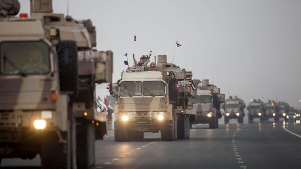القوات الإماراتية في اليمن - سبوتنيك عربي