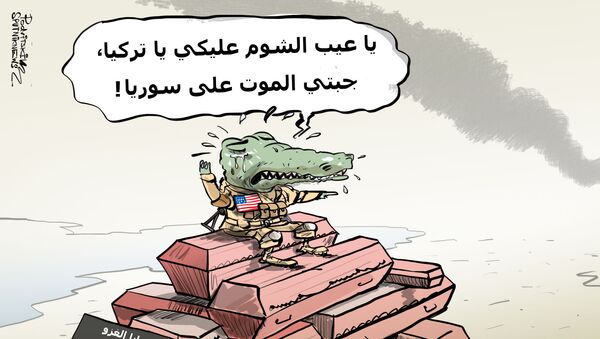 دموع التمساح الأمريكي على سوريا - سبوتنيك عربي