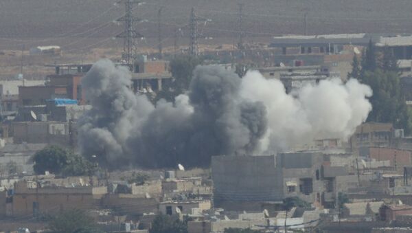 الدخان يتصاعد في بلدة رأس العين السورية - سبوتنيك عربي