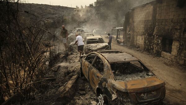 الحرائق في لبنان - سبوتنيك عربي