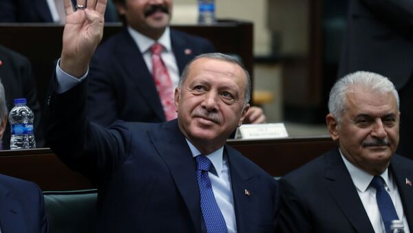 أردوغان - سبوتنيك عربي