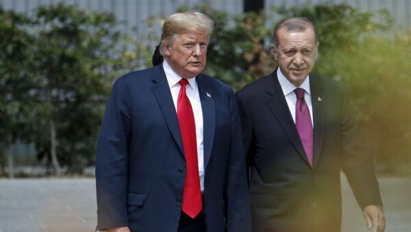 الرئيس الأمريكي دونالد ترامب مع الرئيس التركي رجب طيب أردوغان - سبوتنيك عربي