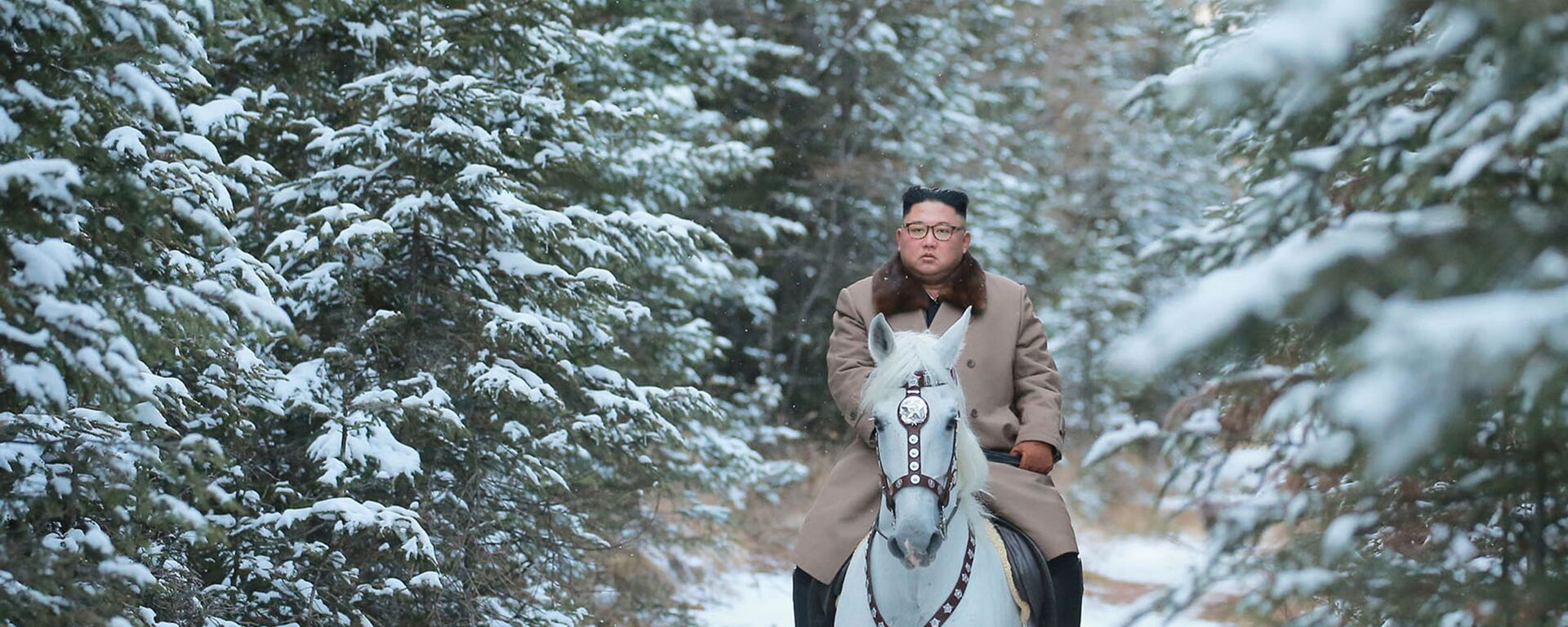 زعيم كوريا الشمالية يركب حصانا أبيضا ويصعد جبل بايكتو المغطى بالثلوج والذي يعتبر من الأماكن المقدسة في شبه الجزيرة الكورية، 16 أكتوبر 2019 - سبوتنيك عربي, 1920, 07.06.2022