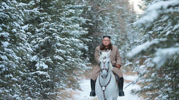 زعيم كوريا الشمالية يركب حصانا أبيضا ويصعد جبل بايكتو المغطى بالثلوج والذي يعتبر من الأماكن المقدسة في شبه الجزيرة الكورية، 16 أكتوبر 2019 - سبوتنيك عربي