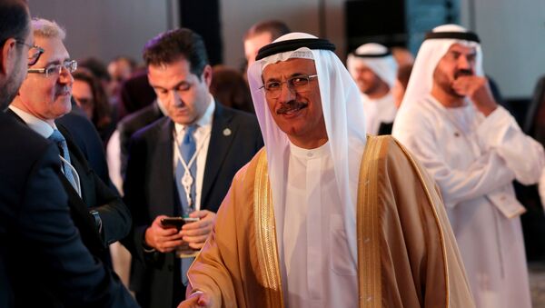 سلطان بن سعيد المنصوري وزير الاقتصاد الإماراتي - سبوتنيك عربي
