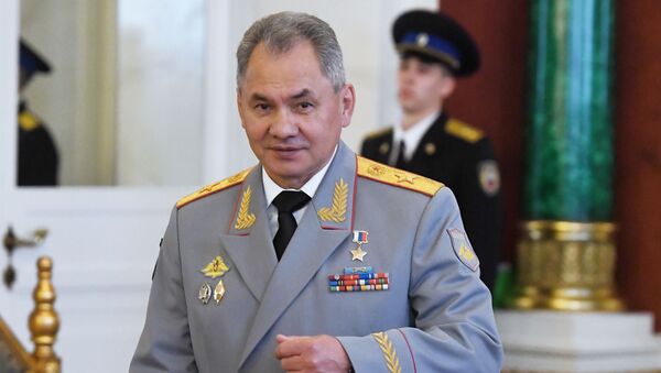 وزير الدفاع الروسي سيرغي شويغو في الكرملين - سبوتنيك عربي