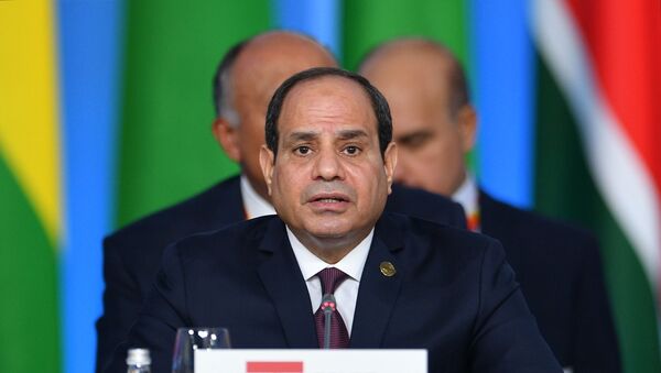 رئيس جمهورية مصر العربية عبد الفتاح السيسي في الجلسة العامة الأولى للقمة الروسية - الأفريقية في سوتشي - سبوتنيك عربي
