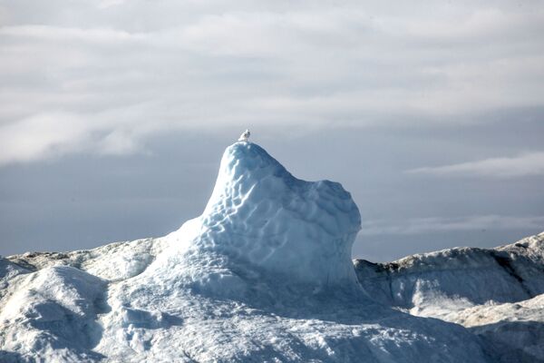 جبل جليدي في مياه جزيرة غرينلاند - سبوتنيك عربي