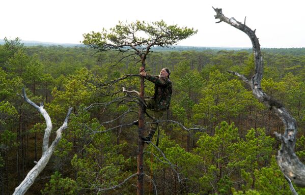 عالم الطيور البيلاروسي فلاديمير إيفانوفسي، 72 عامًا، يتسلق شجرة ليصنع عشًا للطيور الجارحة من أغصان الأشجار، في محمية بالقرب من قرية كازياني، بيلاروسيا  20 أكتوبر 2019 - سبوتنيك عربي