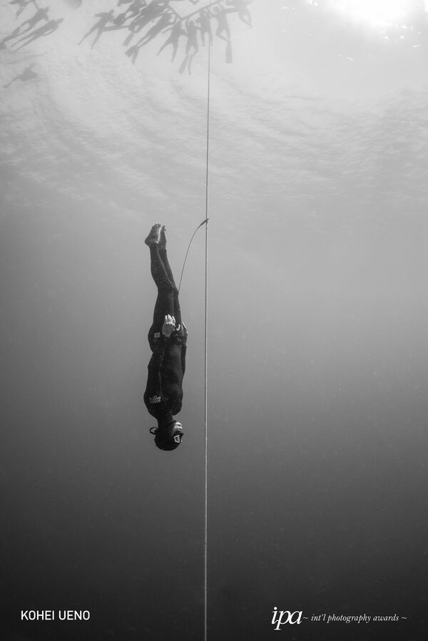 صورة بعنوان تحت سطح منافسة الغوص الحر (Beneath the surface of competitive Freediving)، للمصور لكوهي أوينو، الفائز في فئة أفضل مصور رياضي لهذا العام، ضمن جوائز المحترفين للمسابقة الدولية للتصوير لعام 2019 - سبوتنيك عربي