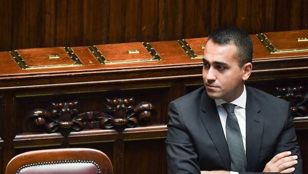وزير الخارجية الإيطالي - سبوتنيك عربي