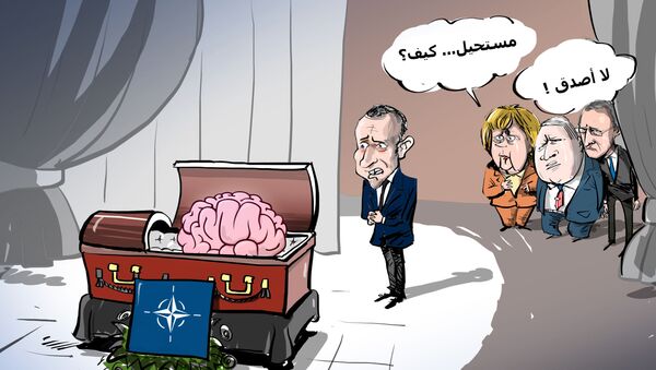 مخ الناتو يفارق الحياة - سبوتنيك عربي