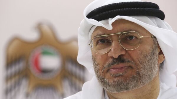 وزير الدولة الإماراتي للشؤون الخارجية أنور قرقاش - سبوتنيك عربي