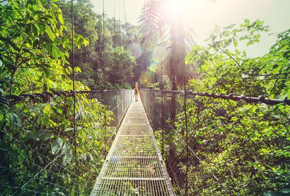 المشي لمسافات طويلة في الغابة الاستوائية الخضراء، كوستاريكا، أمريكا الوسطى - سبوتنيك عربي