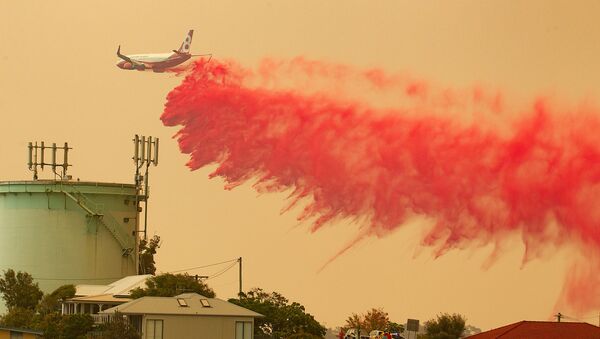 إطفاء الحرائق في أستراليا، نوفمبر 2019 - سبوتنيك عربي