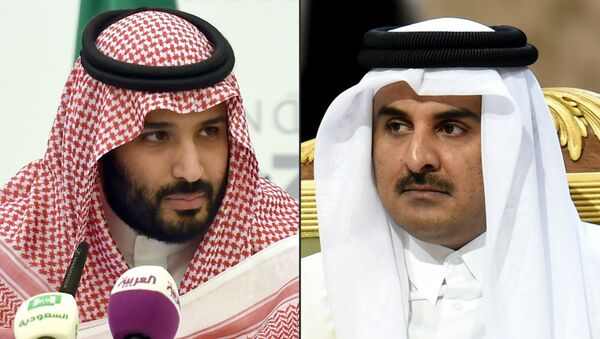 أمير قطر الشيخ تميم بن حمد وولي العهد السعودي الأمير محمد بن سلمان - سبوتنيك عربي