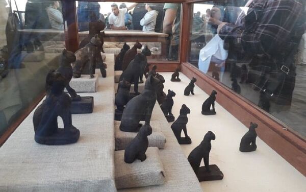 تماثيل فرعونية لحيوانات مقدسة عثر عليها في سقارة - سبوتنيك عربي