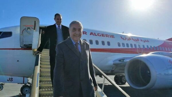 مرشح الانتخابات الرئاسية الجزائرية علي بن فليس - سبوتنيك عربي