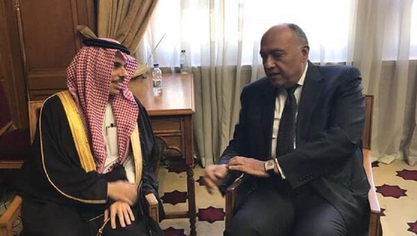 وزير الخارجية المصري سامح شكري ونظيره السعودي فيصل بن فرحان - سبوتنيك عربي