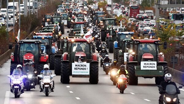 احتجاجات المزارعين في فرنسا - سبوتنيك عربي