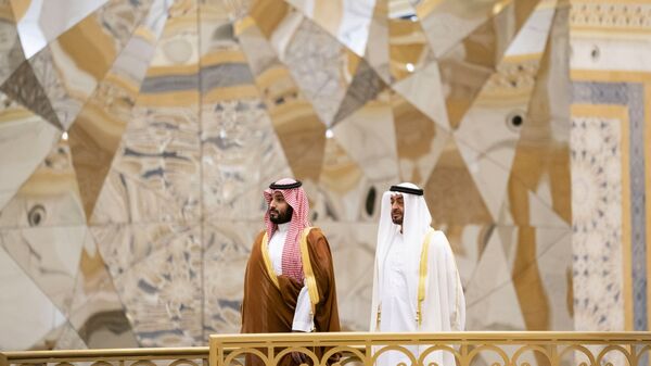 ولي عهد أبو ظبي الشيخ محمد بن زايد يستقبل ولي العهد السعودي الأمير محمد بن سلمان في قصر الوطن في الإمارات - سبوتنيك عربي