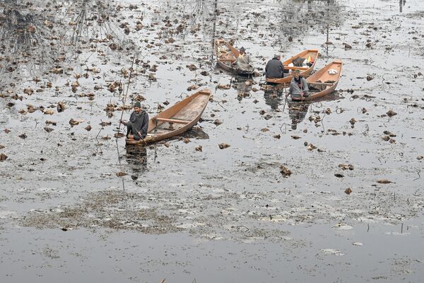 رجال يركبون قوارب في بحيرة ناجيين في أحد الأيام الباردة في سريناغار في 26 نوفمبر 2019 - سبوتنيك عربي
