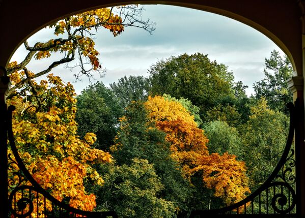 ألوان الخريف في منتزه القصر أورانيينباوم في سان بطرسبورغ الروسية - سبوتنيك عربي